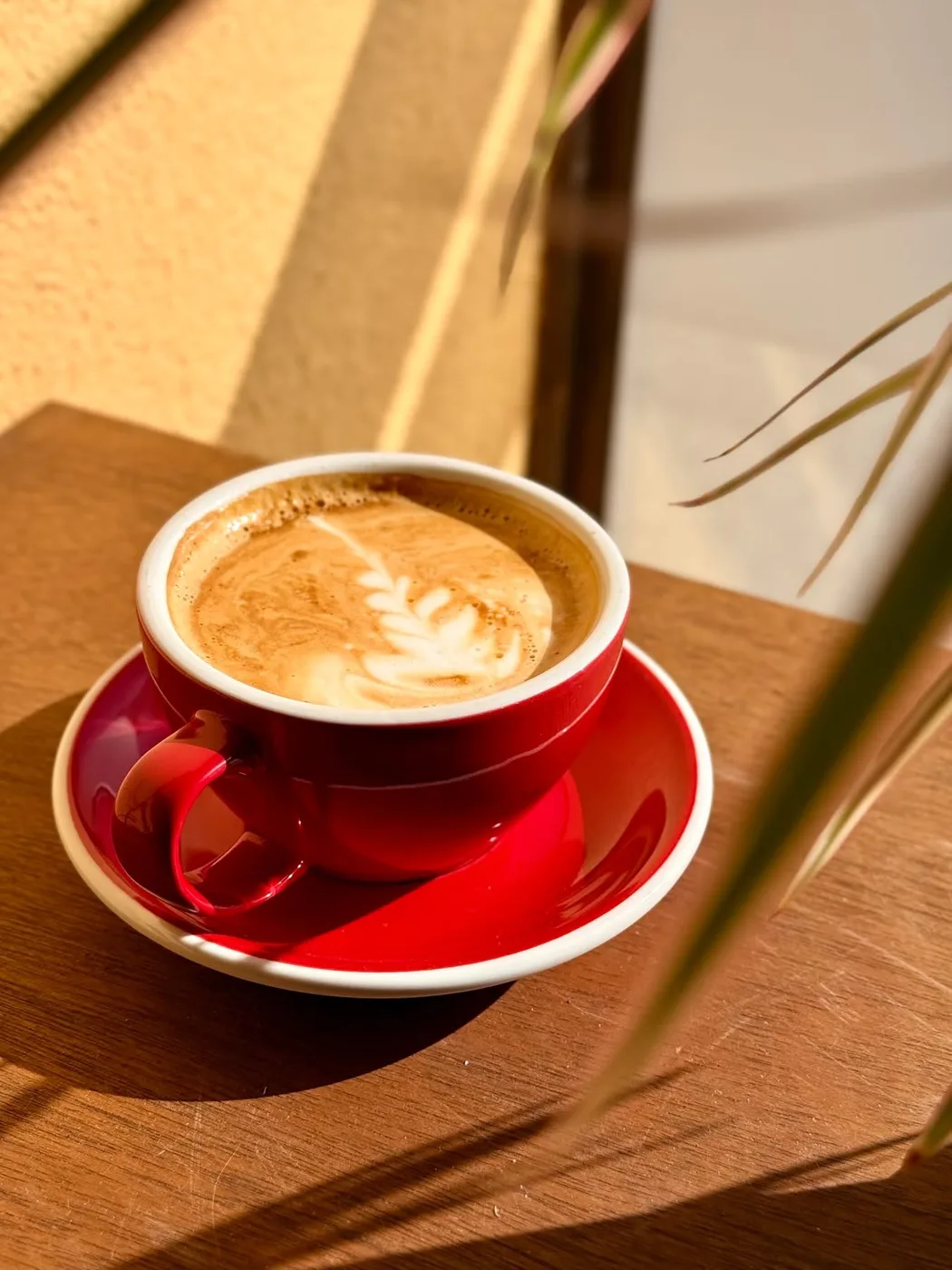 Cappuccino punaisessa kupissa auringossa