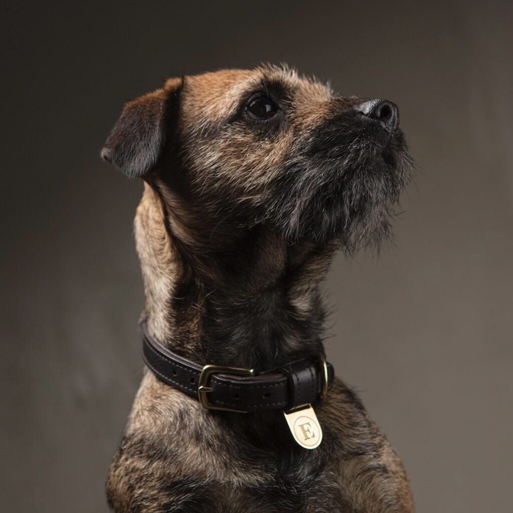 Finnish Equestrian Company